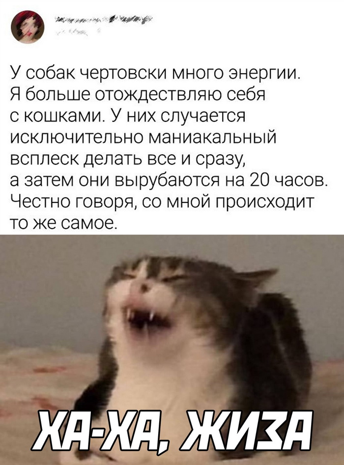 Скриншоты из социальных сетей. Часть 1425 (40 фото) 66f8657081174.jpeg