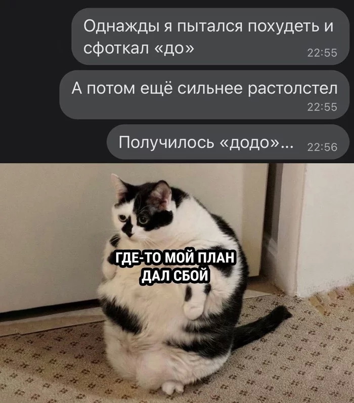 Скриншоты из социальных сетей. Часть 1428 (30 фото) 66f864ff064ad.jpeg