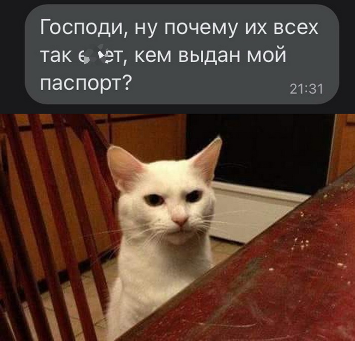 Скриншоты из социальных сетей. Часть 1431 (30 фото) 66f864815e2d4.jpeg