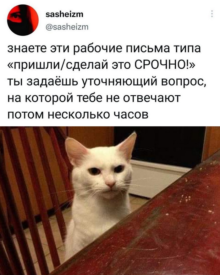 Скриншоты из социальных сетей. Часть 1455 (30 фото) 66f860ad2fe07.jpeg