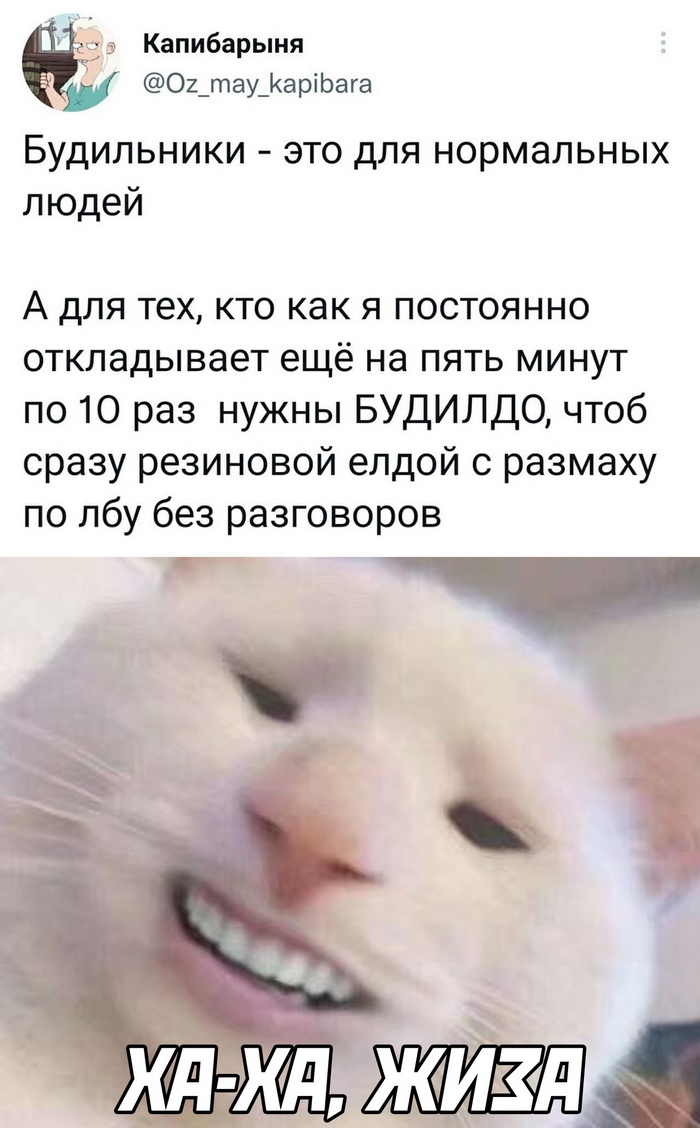 Скриншоты из социальных сетей. Часть 1459 (40 фото) 66f8601eefadf.jpeg