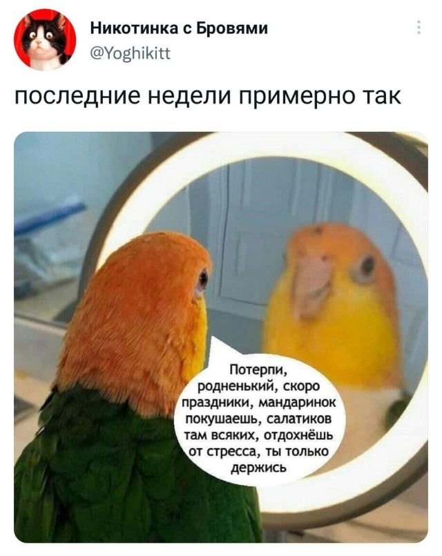 Скриншоты из социальных сетей. Часть 1461 (30 фото) 66f85fd6946ae.jpeg