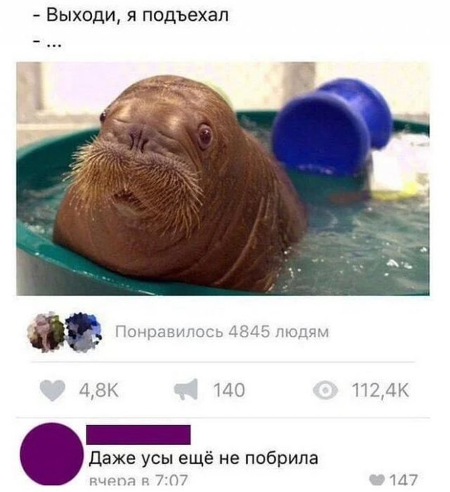 Скриншоты из социальных сетей. Часть 1471 (30 фото) 66f85e656480f.jpeg