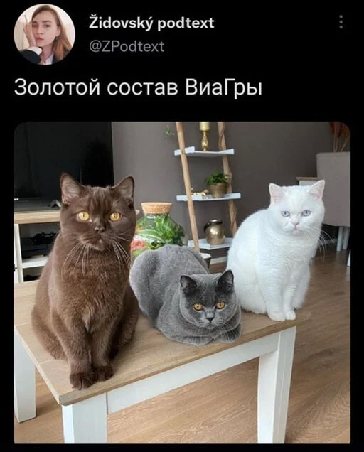 Скриншоты из социальных сетей. Часть 1477 (30 фото) 66f85d8b2409f.jpeg