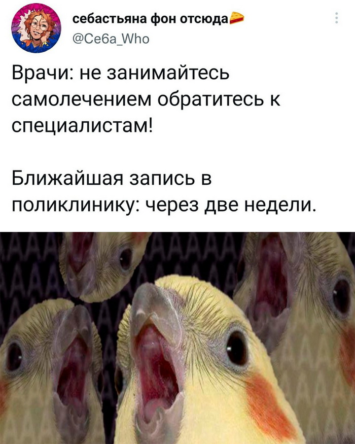 Скриншоты из социальных сетей. Часть 1484 (30 фото) 66f85c884e944.jpeg
