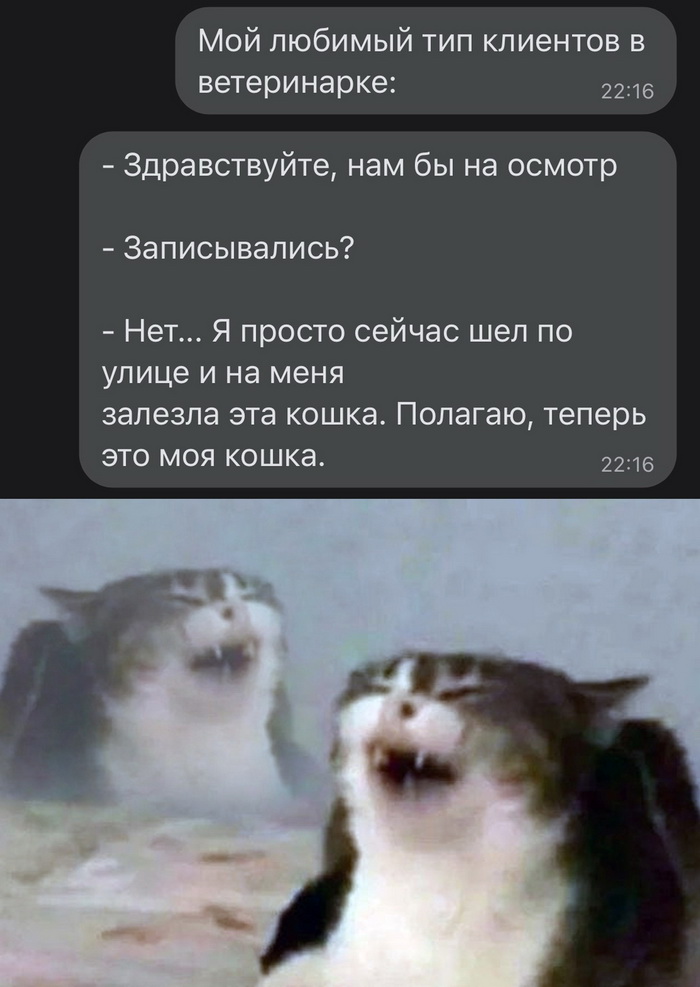 Скриншоты из социальных сетей. Часть 1485 (30 фото) 66f85c61ac07c.jpeg