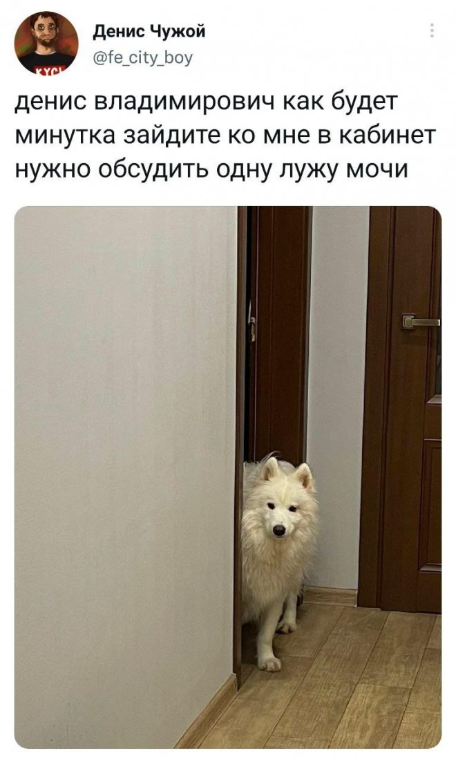 Скриншоты из социальных сетей. Часть 1486 (30 фото) 66f85c2c6b3f3.jpeg