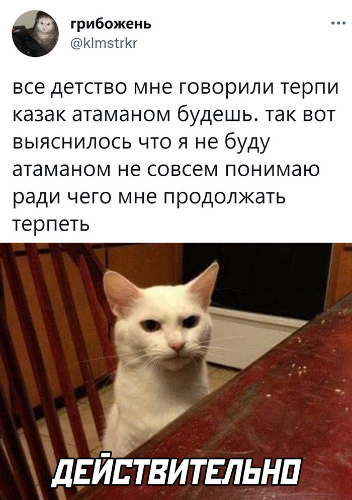Скриншоты из социальных сетей. Часть 1493 (40 фото) 66f85af568e29.jpeg