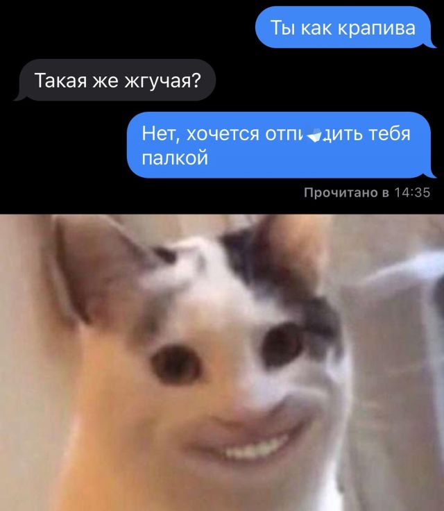 Скриншоты из социальных сетей. Часть 1503 (30 фото) 66f8593078150.jpeg
