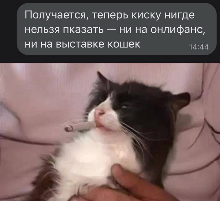 Скриншоты из социальных сетей. Часть 1520 (30 фото) 66f85602b635f.jpeg