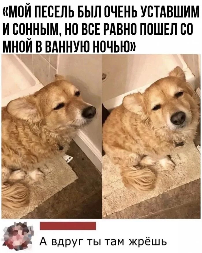 Скриншоты из социальных сетей. Часть 1529 (25 фото) 66f8547c43483.jpeg