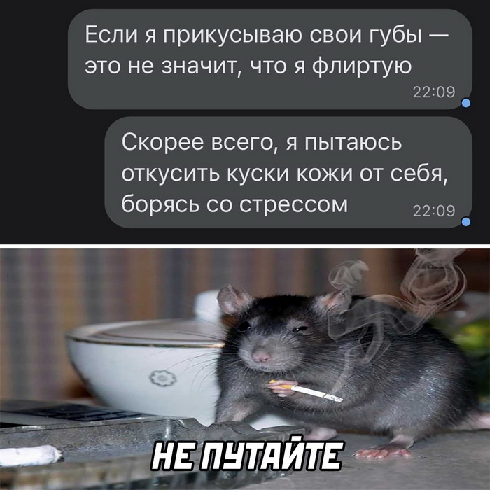 Скриншоты из социальных сетей. Часть 1548 (25 фото) 66f8513af02ac.jpeg