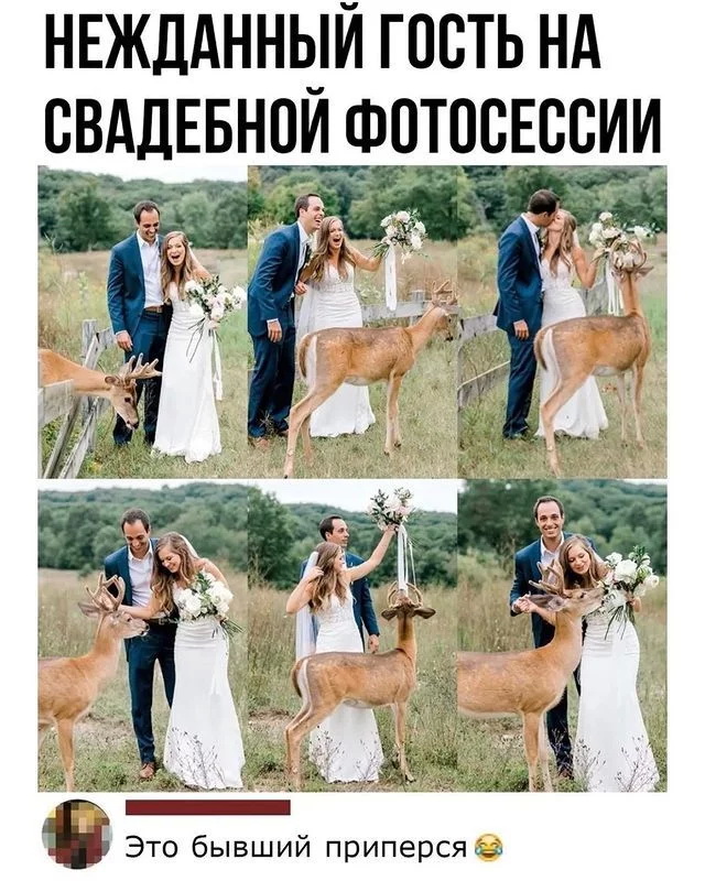 Скриншоты из социальных сетей. Часть 1550 (25 фото) 66f850e026045.jpeg