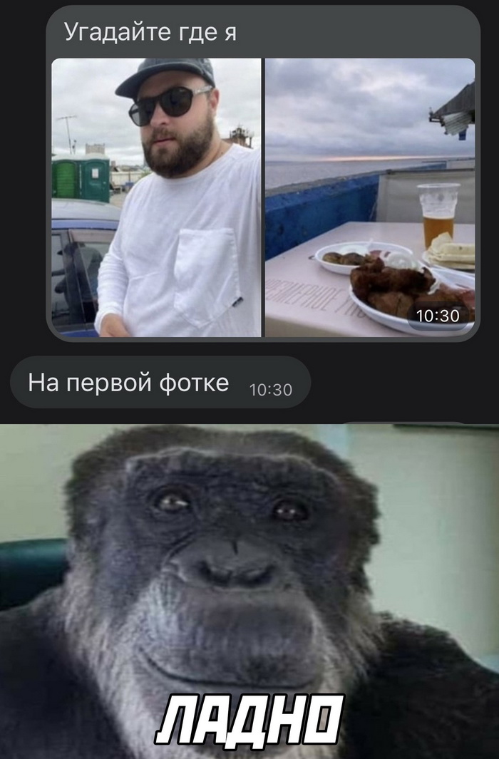 Скриншоты из социальных сетей. Часть 1561 (30 фото) 66e09614025cb.jpeg