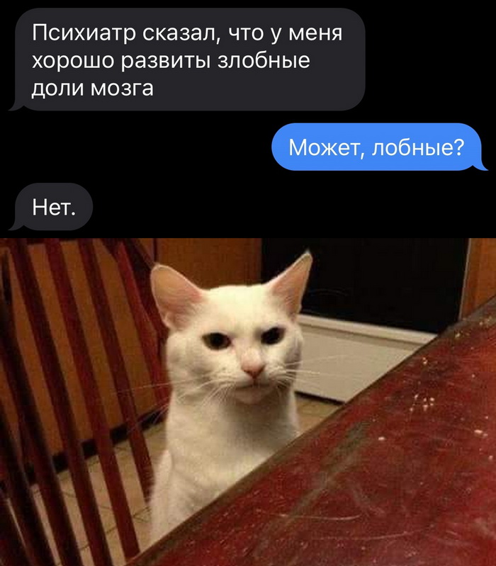Скриншоты из социальных сетей. Часть 1577 (25 фото) 66e09320cdf27.jpeg
