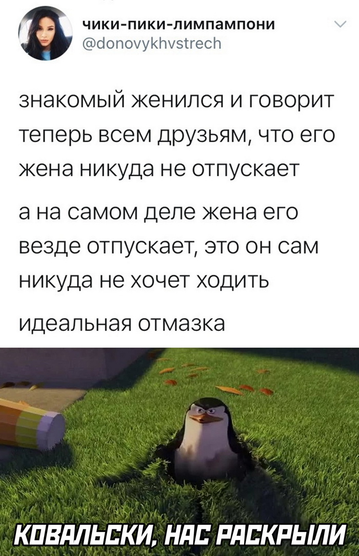 Скриншоты из социальных сетей. Часть 1588 (25 фото) 66e09104454f7.jpeg