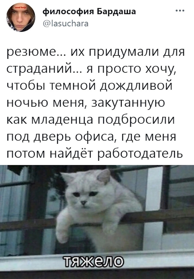 Скриншоты из социальных сетей. Часть 1594 (25 фото) 66e08ff774eca.jpeg