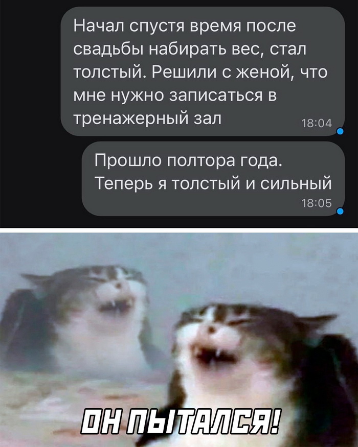 Скриншоты из социальных сетей. Часть 1595 (25 фото) 66e08fcadde1d.jpeg