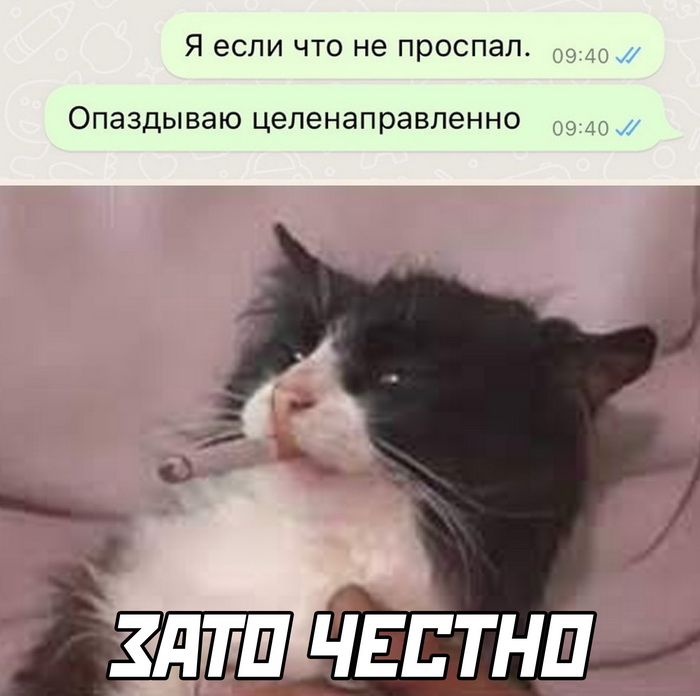 Скриншоты из социальных сетей. Часть 1604 (25 фото) 66e08e2e24315.jpeg