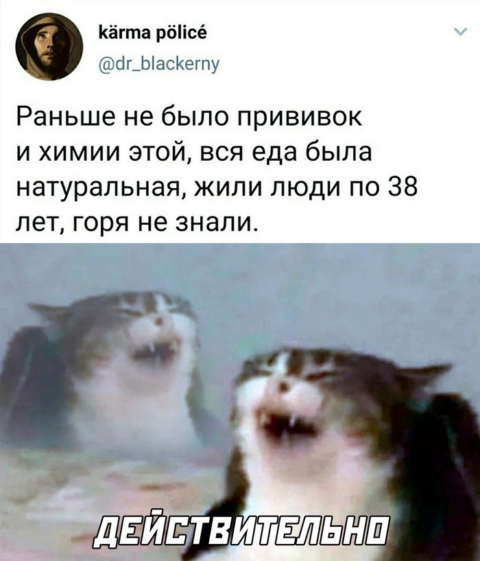 Скриншоты из социальных сетей. Часть 1630 (25 фото) 66e0898b611cc.jpeg