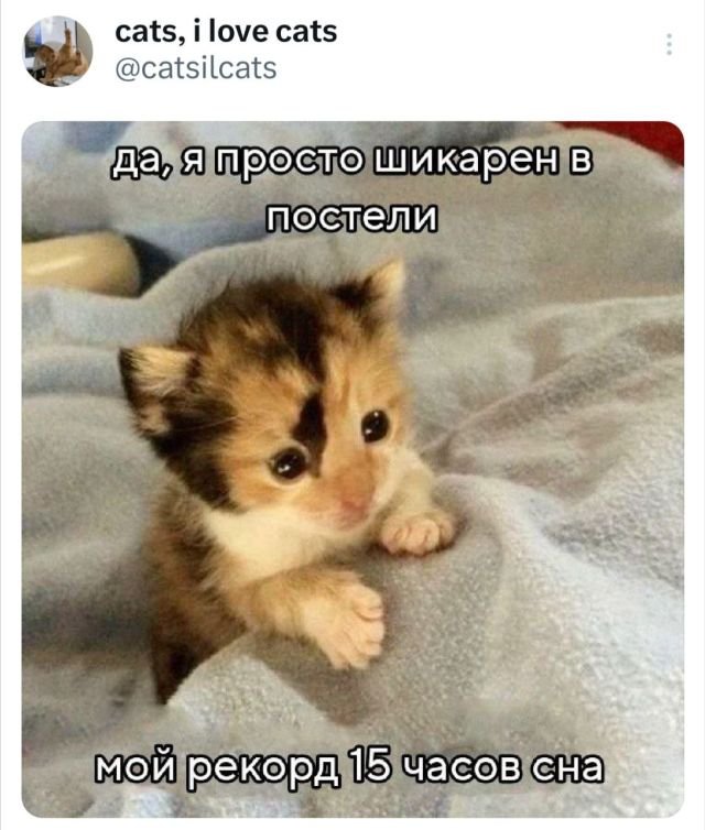 Скриншоты из социальных сетей. Часть 2099 (25 фото) 66e157a0eac63.jpeg