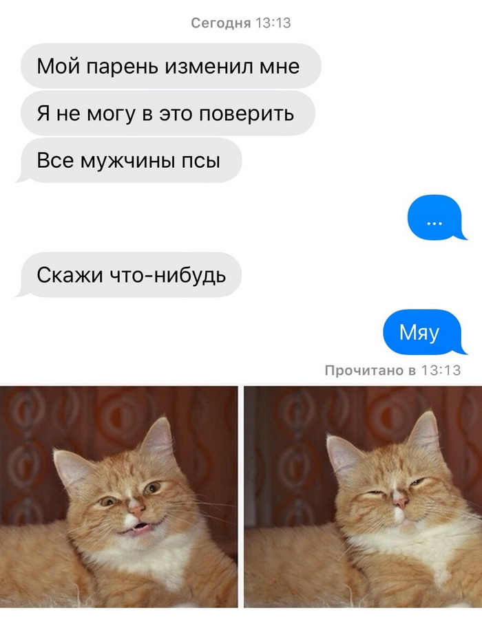 Скриншоты из социальных сетей. Часть 957 (37 фото) 66fa036e3259a.jpeg