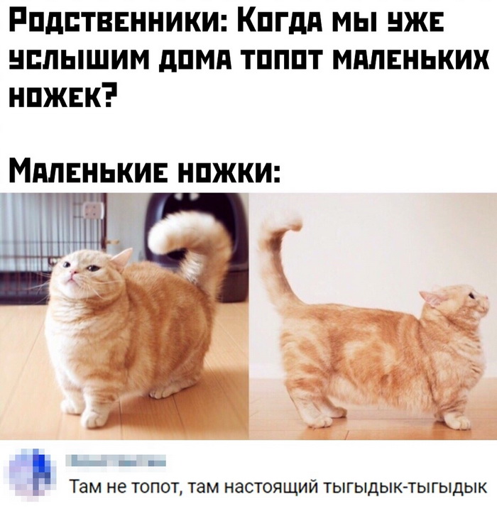 Скриншоты из социальных сетей. Часть 970 (25 фото) 66fa017c2d512.jpeg