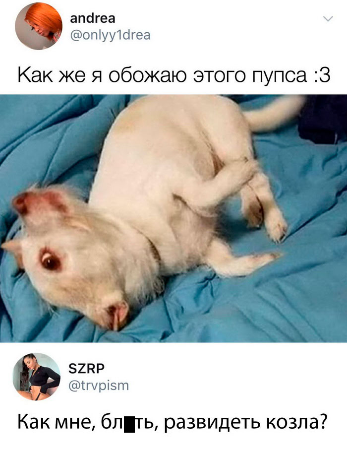 Скриншоты из социальных сетей. Часть 988 (25 фото) 66f9fe13cc1f8.jpeg