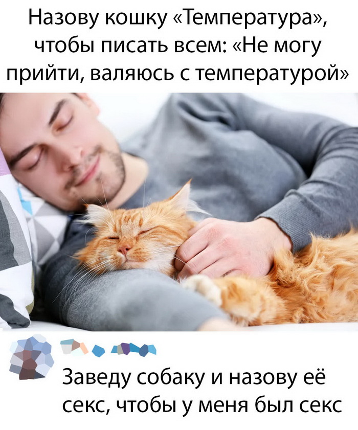 Скриншоты из социальных сетей. Часть 992 (25 фото) 66f9fd60caf6f.jpeg
