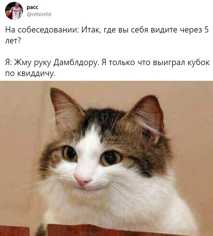 Скриншоты из социальных сетей. Часть 995 (25 фото) 66f9fcc9eafec.jpeg