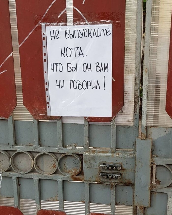 Смешные объявления (17 фото) 66f88248e2748.jpeg