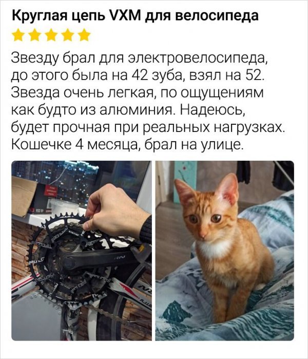 Смешные отзывы из Сети (13 фото) 66f9d991e45d9.jpeg