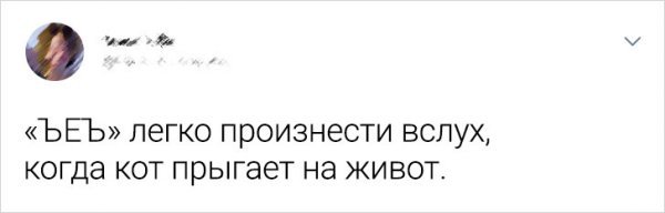 Сообщения пользователей Сети про животных (13 фото) 66f8566e9b067.jpeg