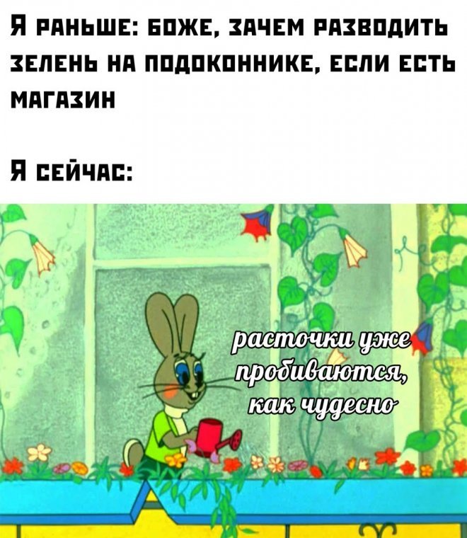 Юмор из интернета (17 фото) 66f85280421f6.jpeg