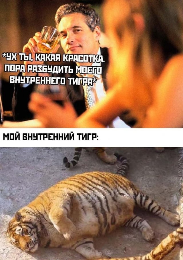 Юмор на взрослые темы (25 фото) 66f87c74b2c65.jpeg