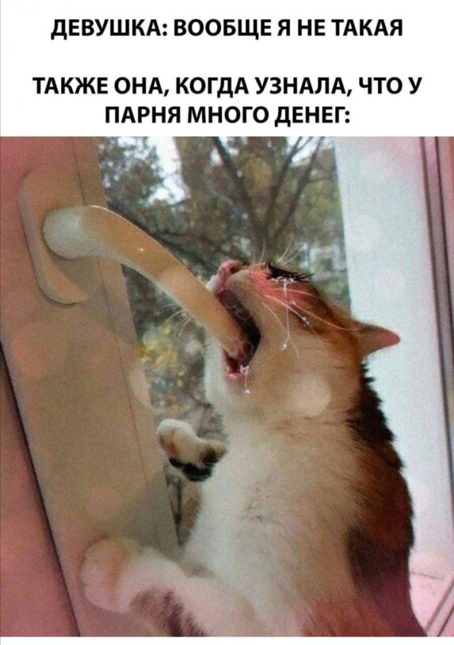 Юмор про девушек (12 фото) 66f882ce1d7ee.jpeg