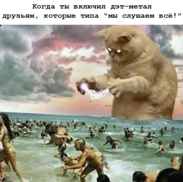 Юмор про музыку (10 фото) 66f869926e271.jpeg