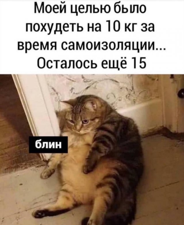 Юмор про текущую ситуацию (16 фото) 66f9f2281f7a2.jpeg
