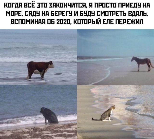 Юмор про текущую ситуацию (25 фото) 66f9ec6d44abb.jpeg