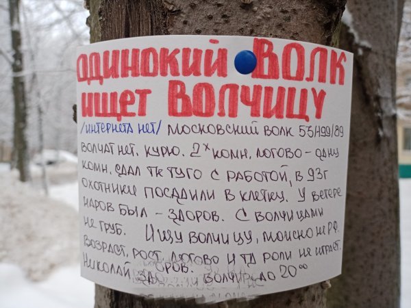 Забавные объявления (17 фото) 66f85f8127bdd.jpeg