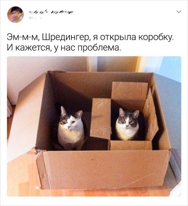 Забавные сообщения на тему науки (20 фото) 66f87e245201a.jpeg
