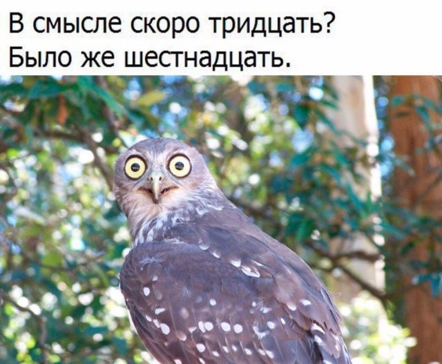 Фотоподборка четверга (44 фото) 67021da8f032d.jpeg