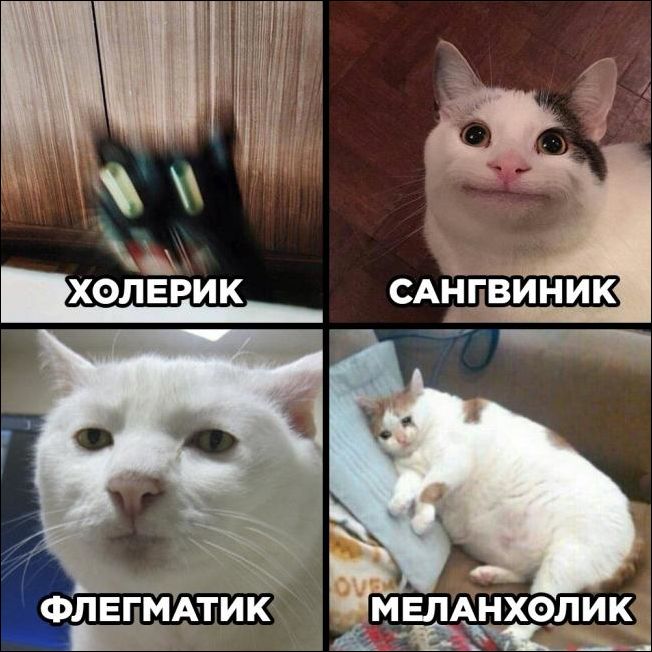 Фотоподборка среды (106 фото) 67022bb28bcbc.jpeg
