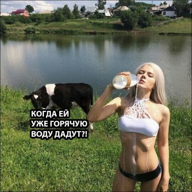 Фотоподборка среды (107 фото) 67022ff23393d.jpeg