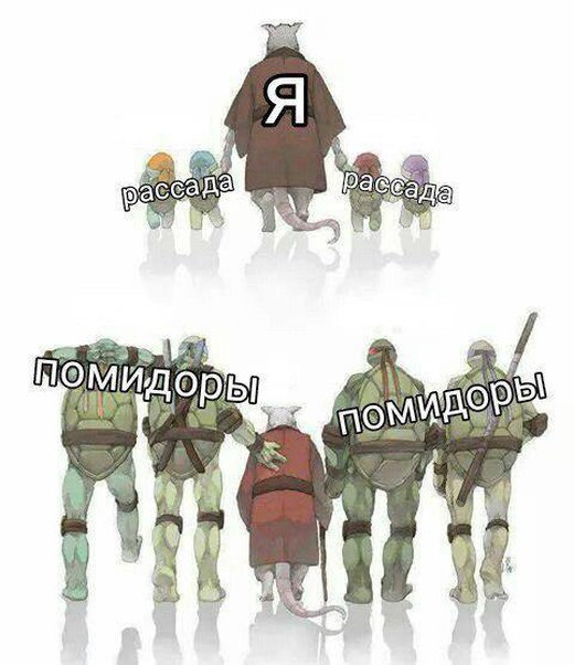 Фотоподборка среды (39 фото) 67020fbe9e308.jpeg