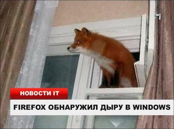 Фотоподборка среды (95 фото) 67022372a59d1.jpeg
