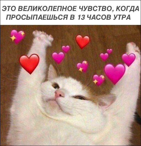 Фотоподборка субботы (100 фото) 670225fae658e.jpeg