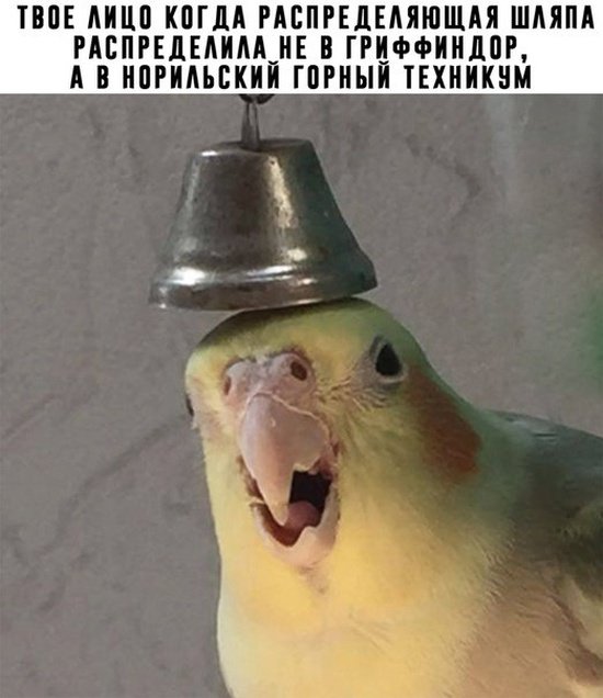 Фотоподборка вторника (104 фото) 670225c4297e3.jpeg