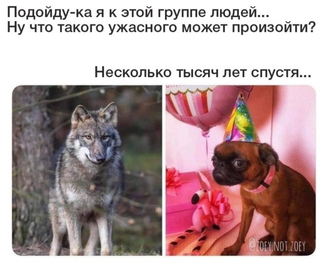 Фотоподборка вторника (41 фото) 67021a0657e54.jpeg