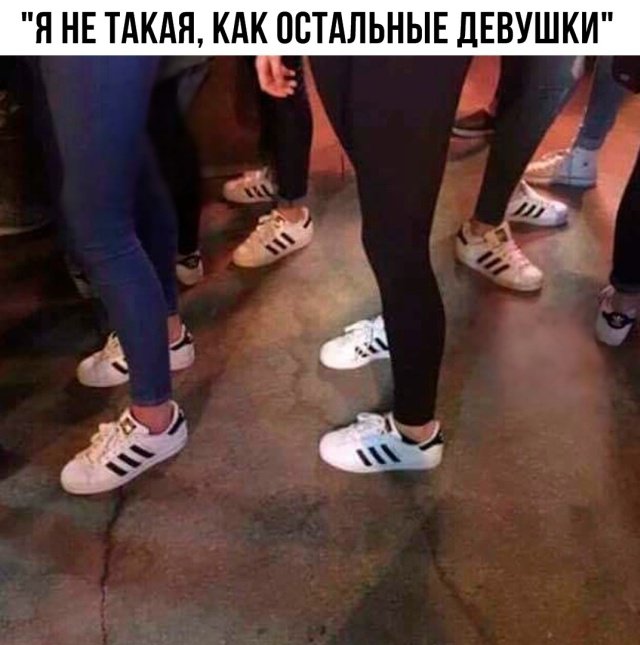 Фотоподборка вторника (52 фото) 67022d04ea2ee.jpeg